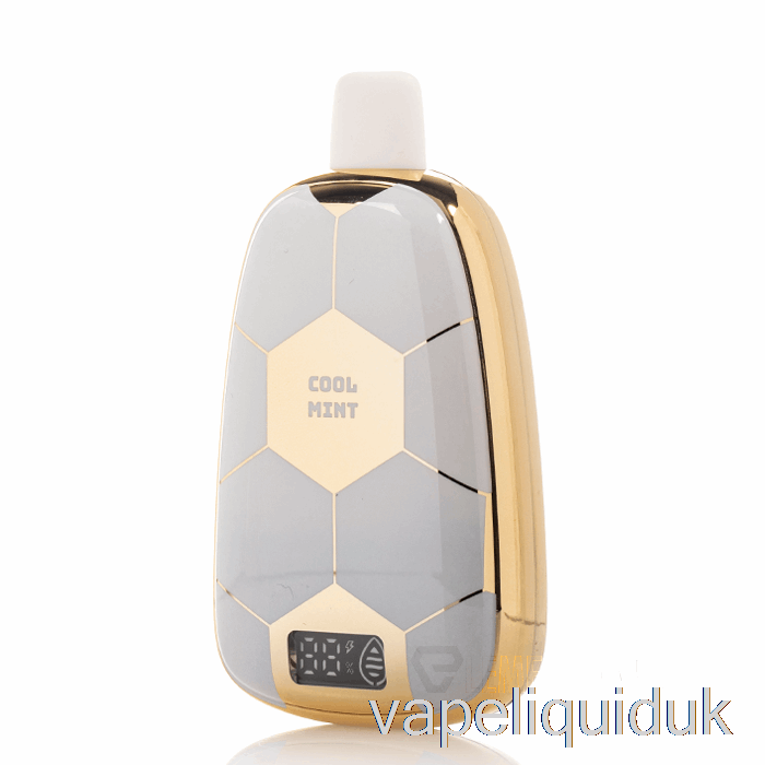 Ronaldinho 10 15K Disposable Cool Mint Vape Juice